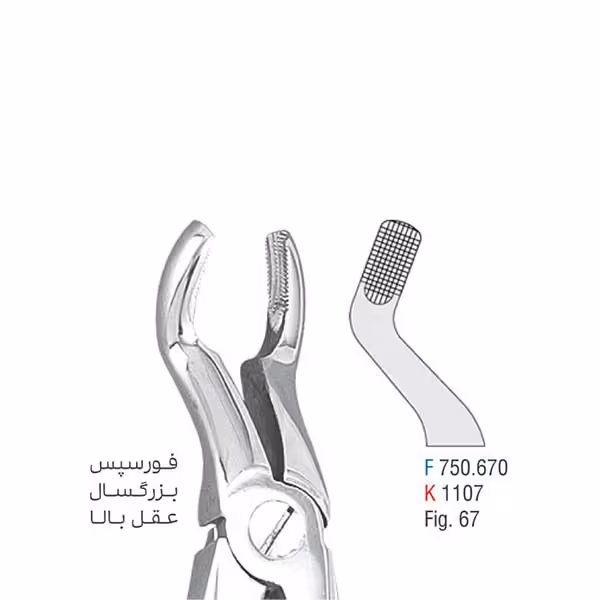 فورسپس بزرگسال عقل بالا - falcon