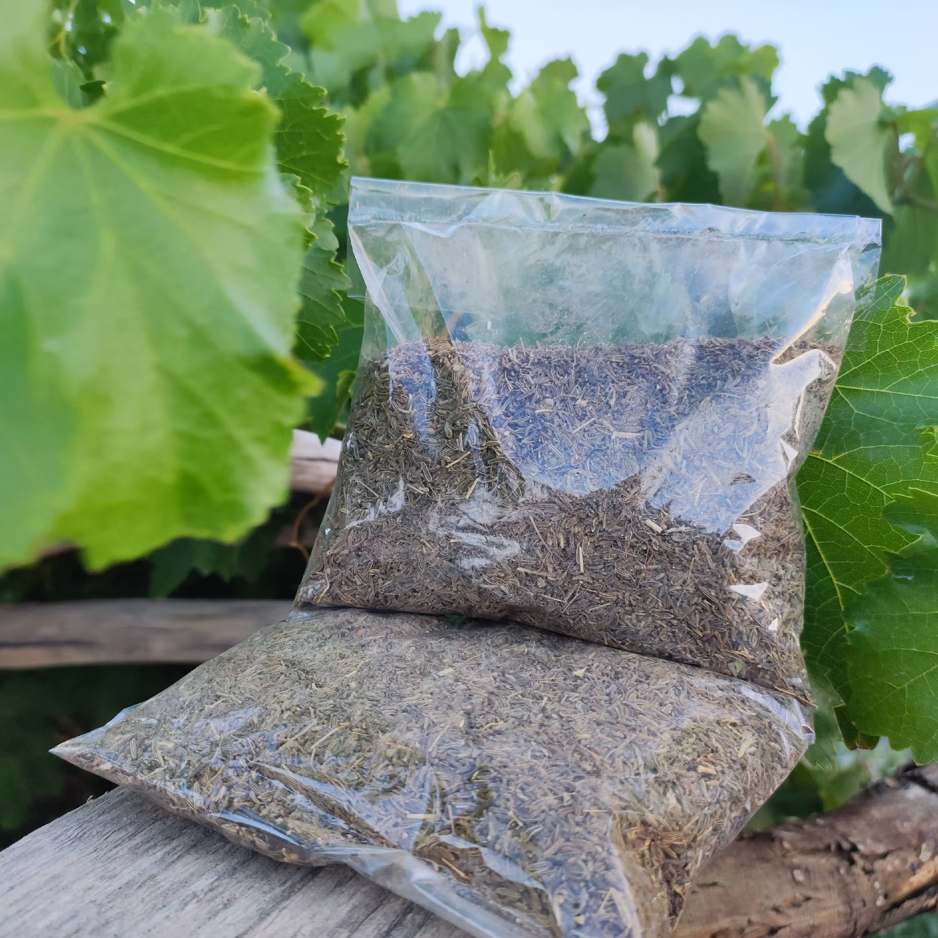 زیره کوهی اصل (100گرمی) سوغات کرمان