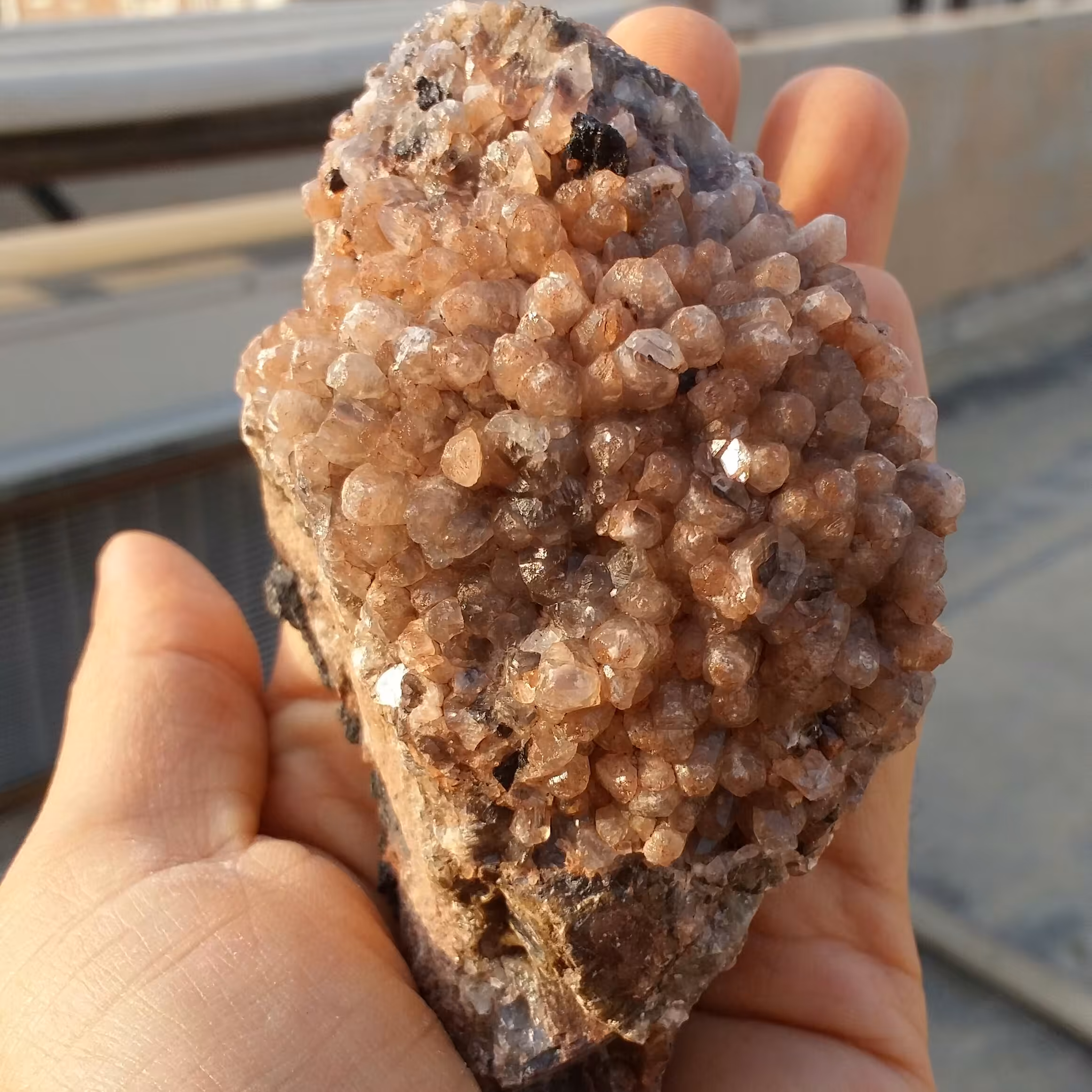 نمونه فوق کلکسیونی غولپیکر  کلسیت بلور قهوه ای کمیاب روی بستر  100 در 100 طبیعی شاهکار خلقت بی نظیر  و تک خارق العاده
کد