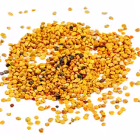 گرده گل بهار 100 گرم