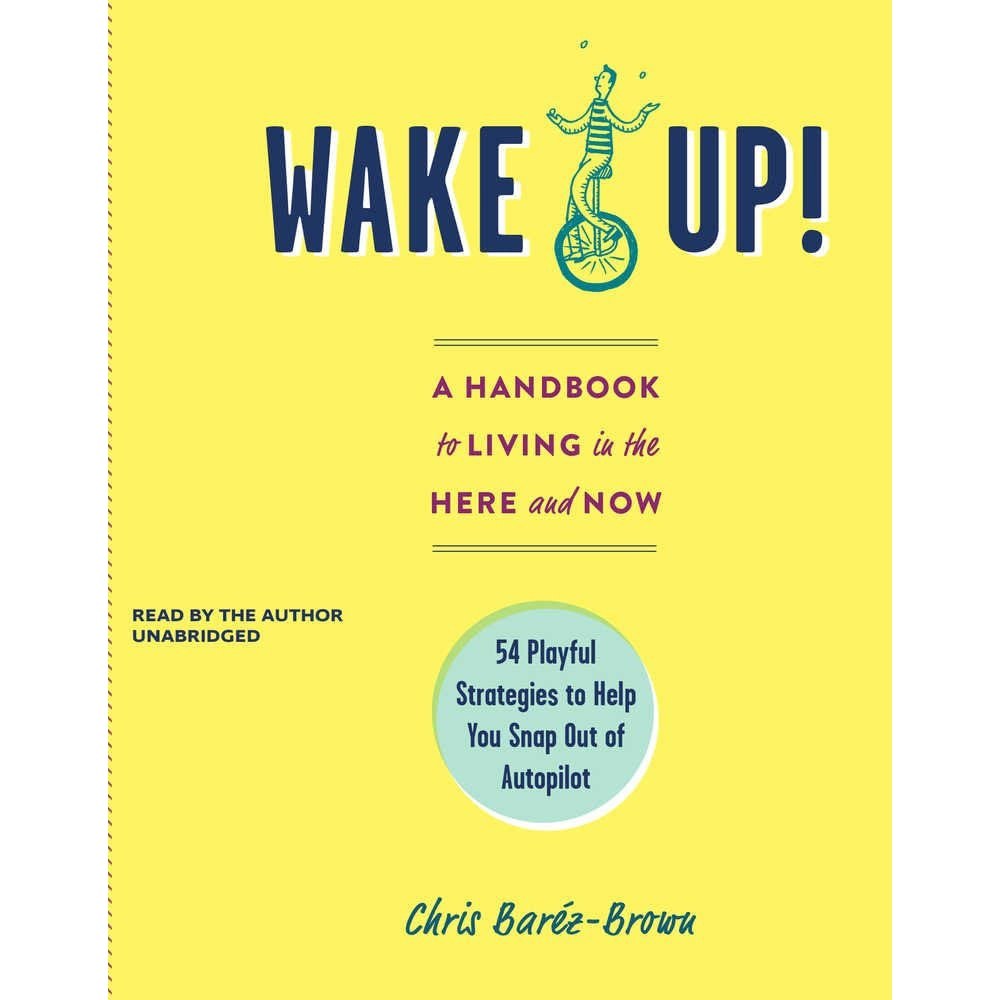 کتاب زبان اصلی Wake Up A Handbook to Living in the Here and Now Playful Strateg