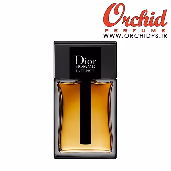 DIOR Homme Intense 100ML