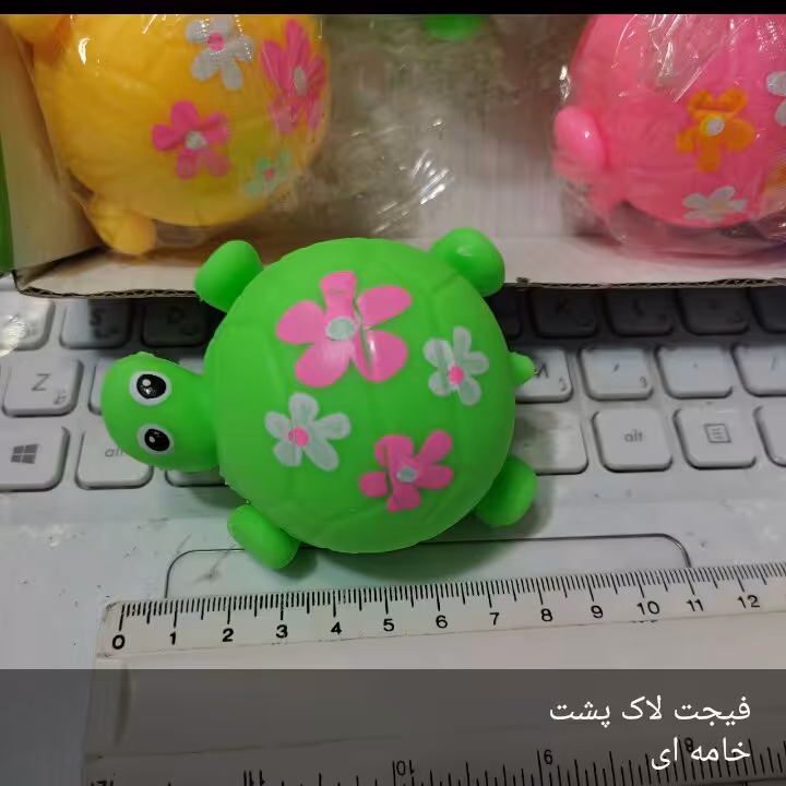 فیجیت لاک پشت