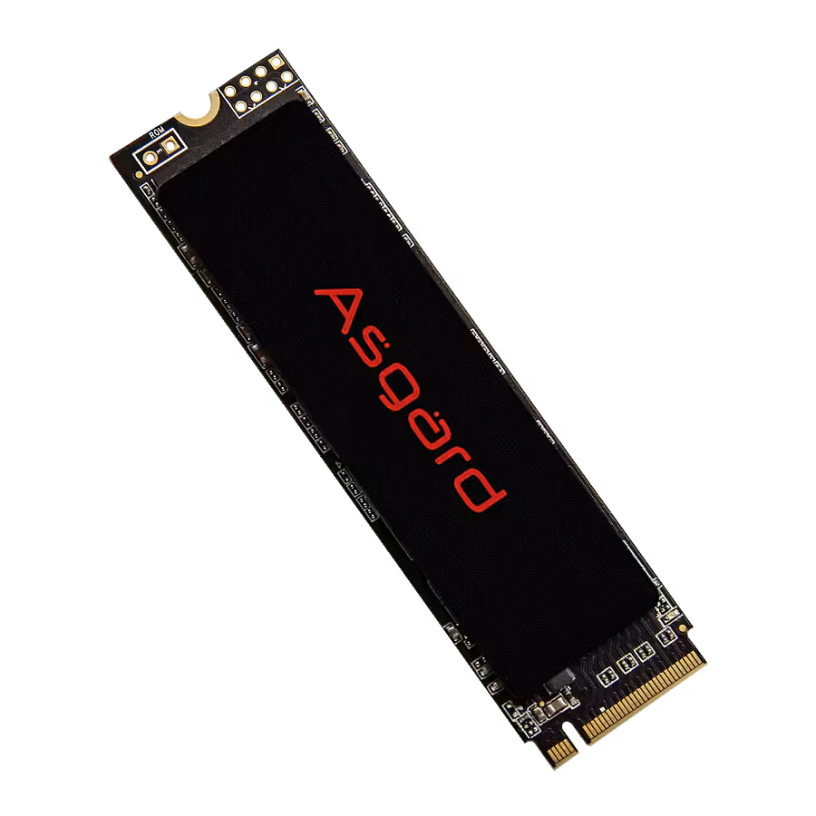 اس اس دی ازگارد Asgard AN2 M.2 NVMe ظرفیت 1 ترابایت