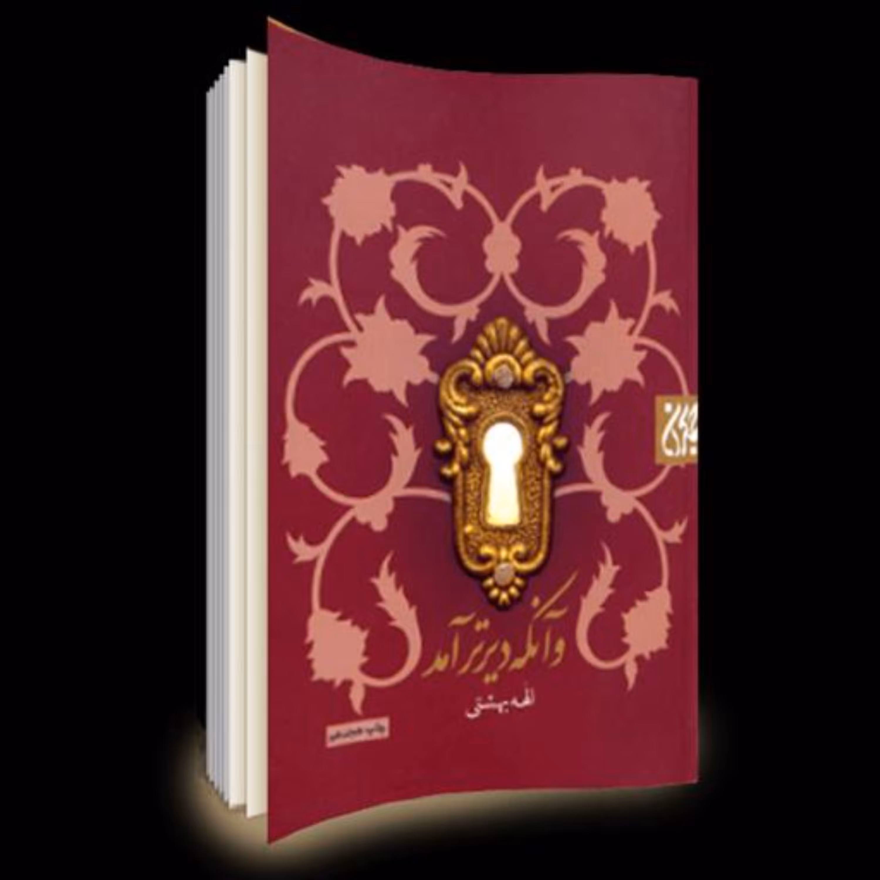 کتاب و آنکه دیر تر آمد عنایت ویژه صاحب الزمان به دو نوجوان اهل تسنن (جدید)