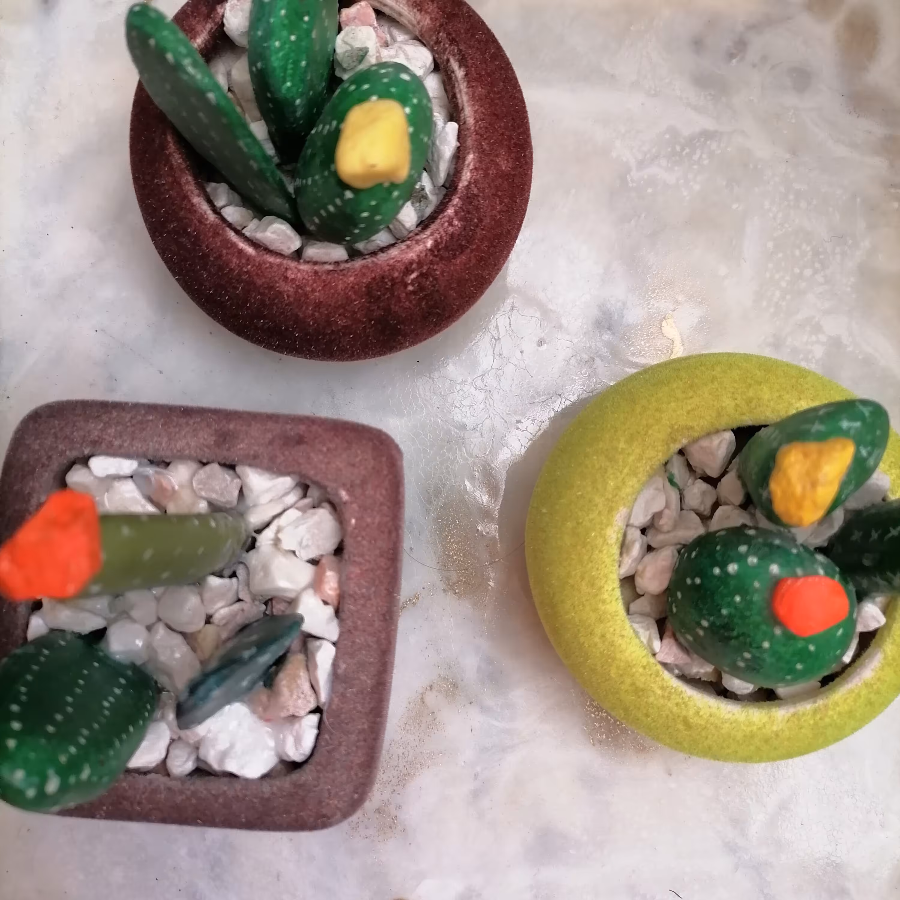 گلدانهای کاکتوس نقاشی روی سنگ