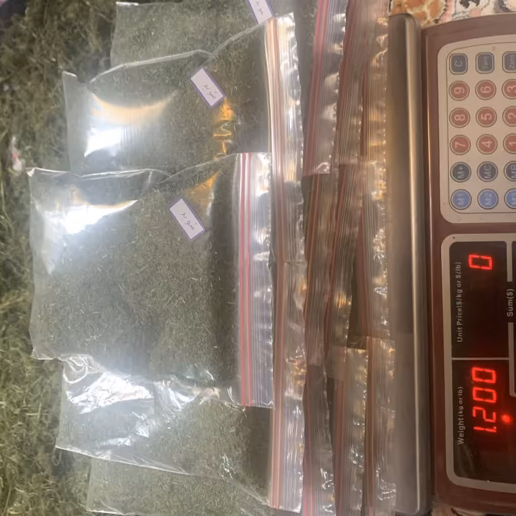 شوید خشک شده 100 گرمی (پس کرایه و هزینه ارسال در مقصد)