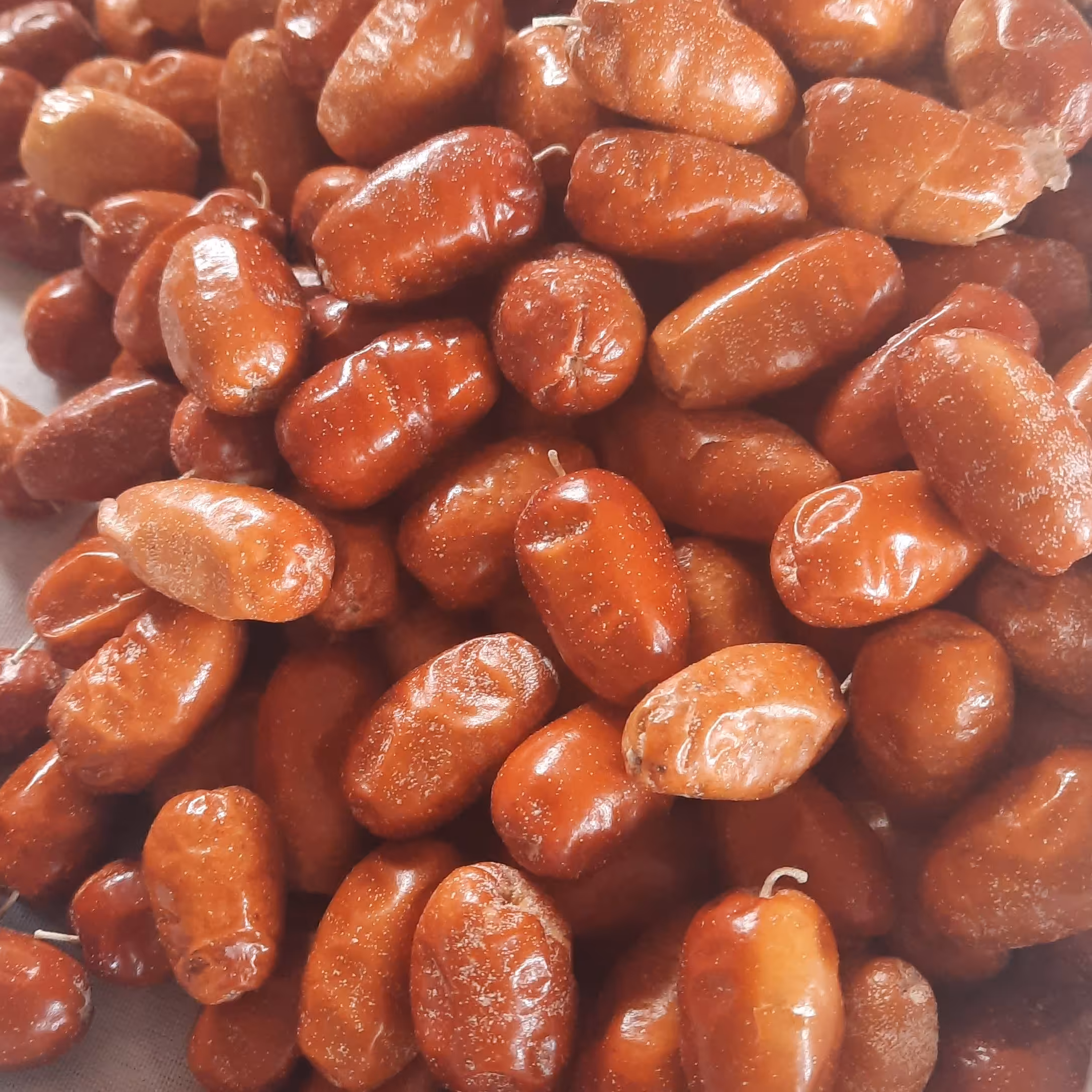 سنجد قرمز درشت تازه و مرغوب 2000 گرمی محصول باغات آذربایجان با ارسال رایگان
