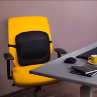 پشتی طبی باراد LS1 (سه سال گارانتی کالا)