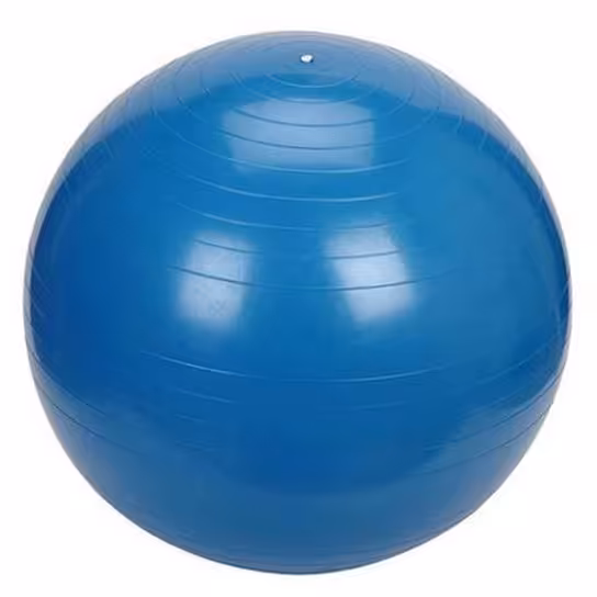 توپ بدنسازی جیمبال سایز70 (باتلمبه) 