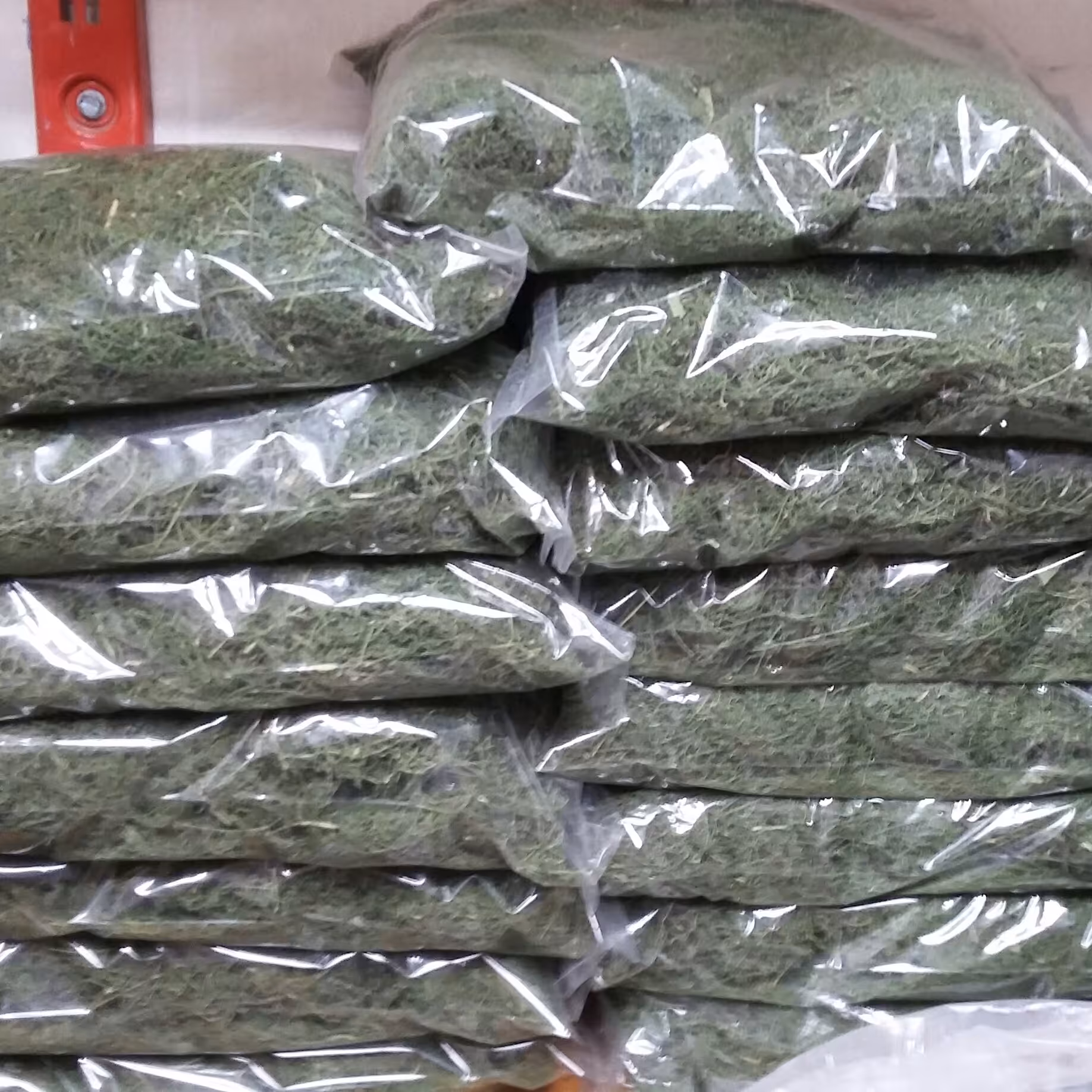 شوید خشک .سرگل سبز پلویی