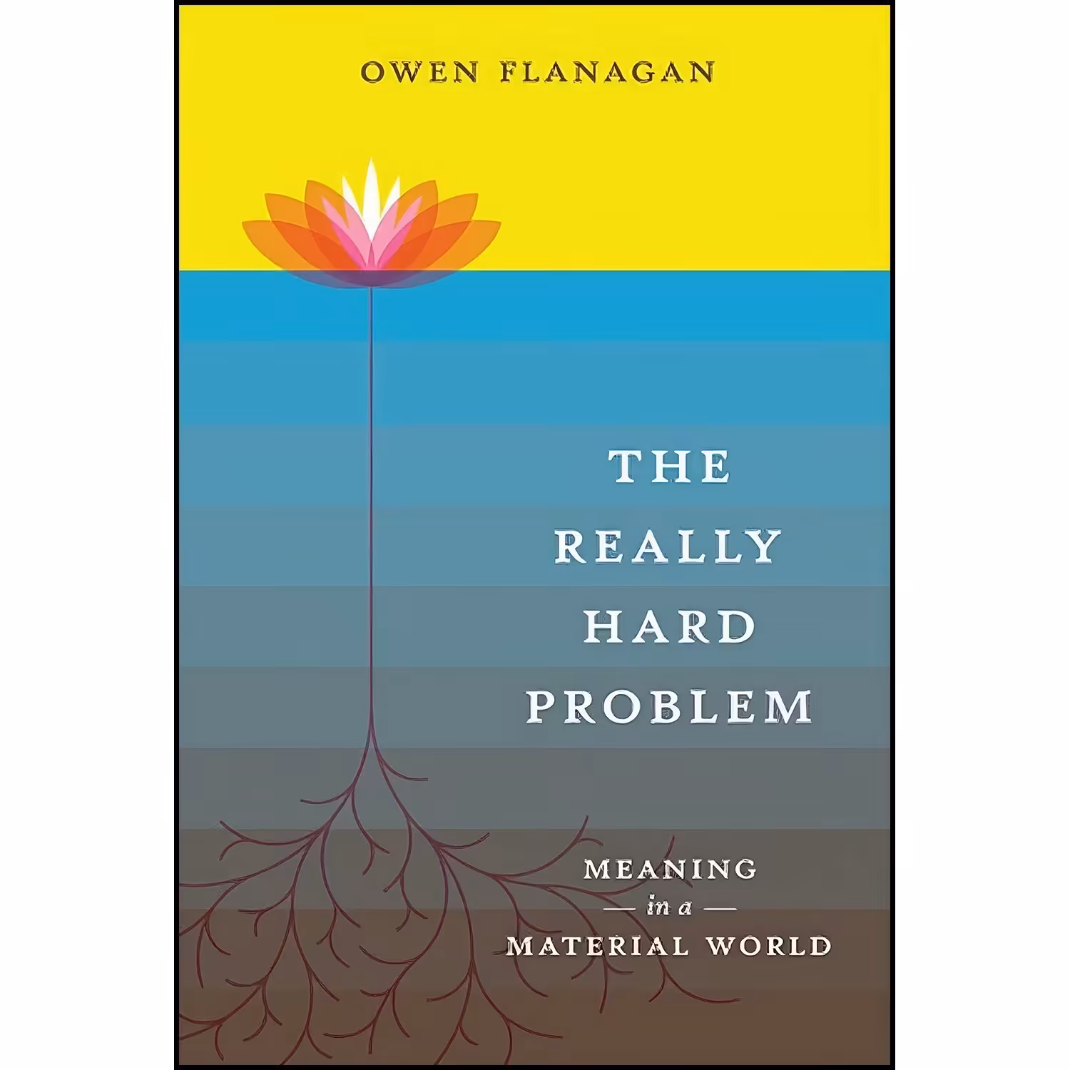 کتاب زبان اصلی The Really Hard Problem اثر Owen Flanagan and Owen J Flanagan