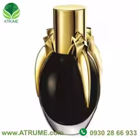 عطر ادکلن لیدی گاگا فیم 100 میل زنانه