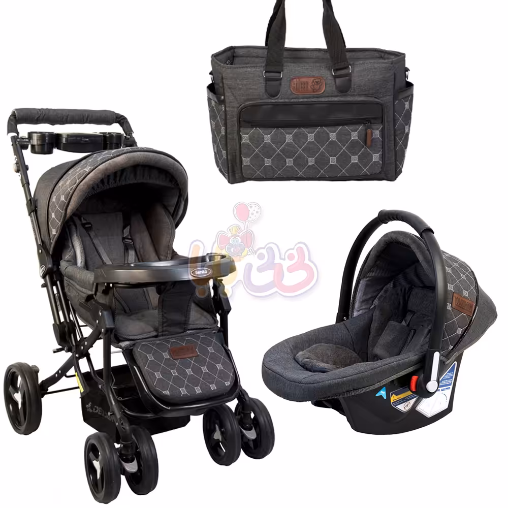 سرویس کالسکه دلیجان مدل CHICCO2