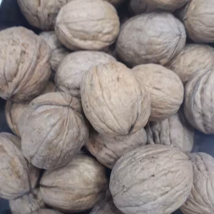 گردو خارجی پوست کاغذی