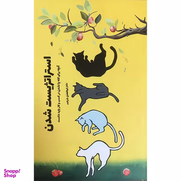 کتاب استراتژيست شدن اثر ابوالفضل شرافت انتشارات آدينه