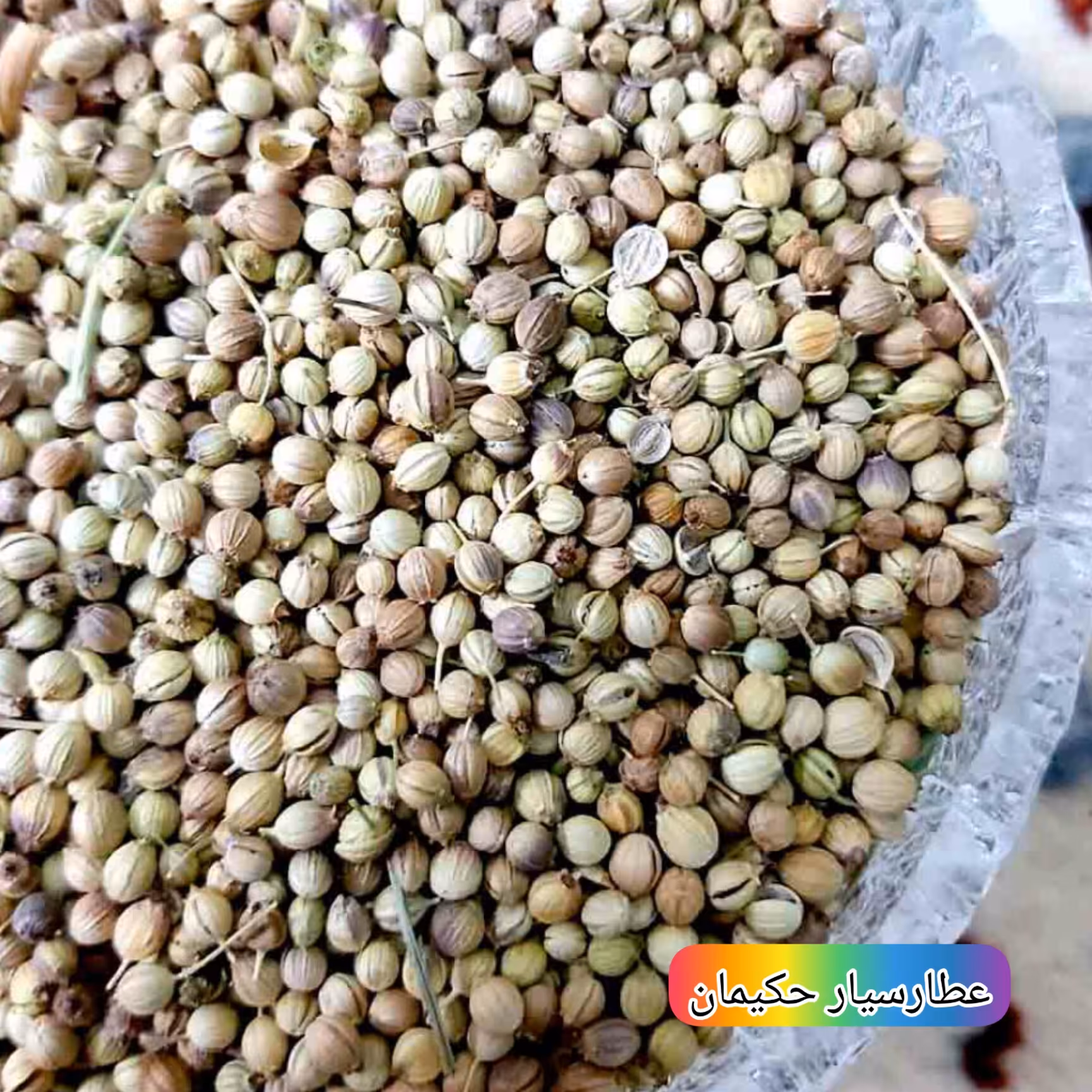 گشنیز  نکوبیده ( 50 گرمی) معطر