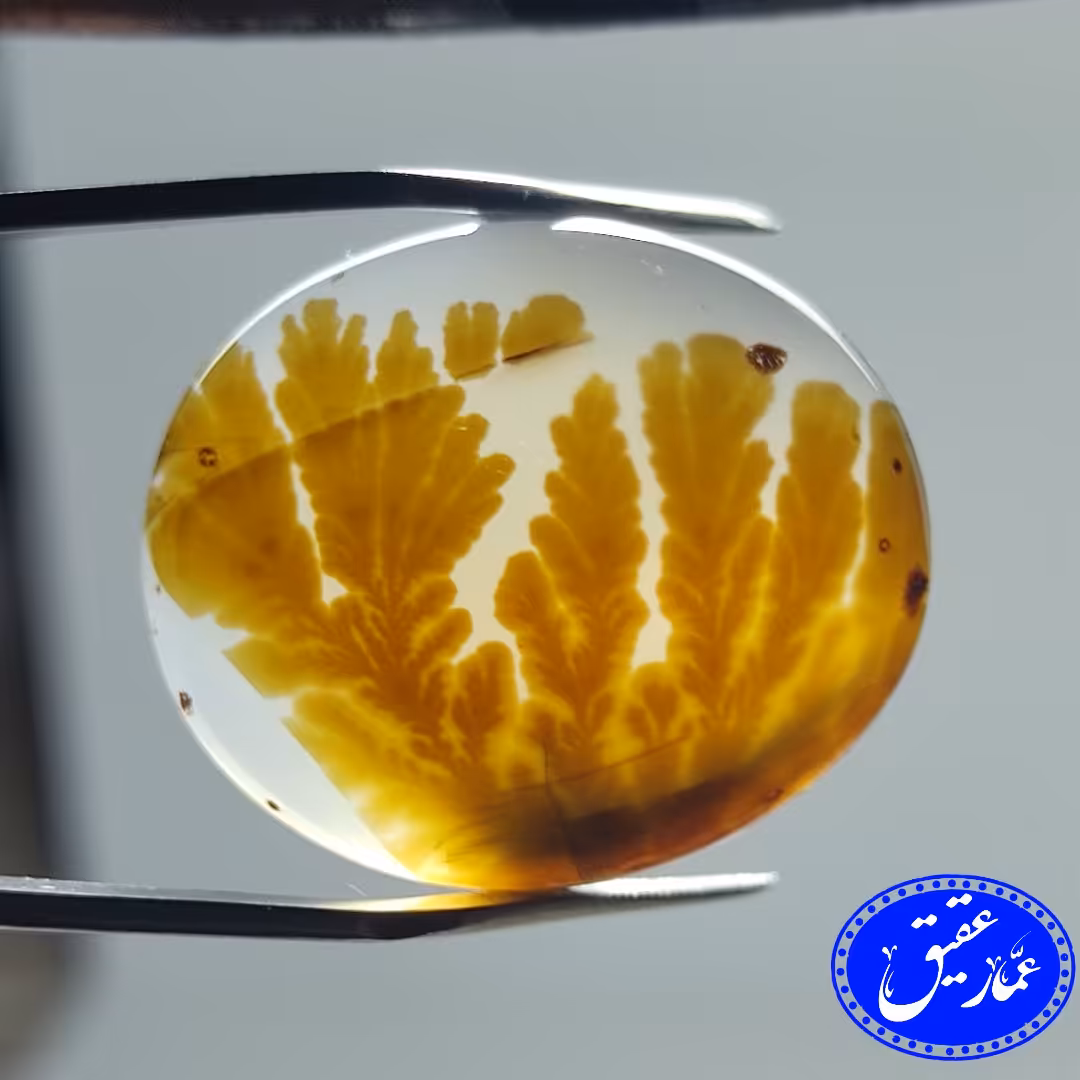 نگین عقیق شجر  سایز درشت و گل قهوه ای