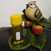 روغن مخصوص واریس اصلی و تضمینی گلستان (30 سی سی)
