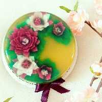 ژله تزریقی 