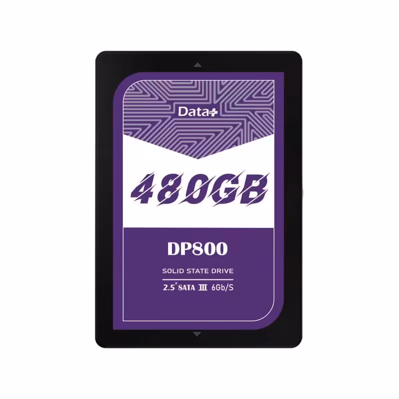 حافظه SSD اینترنال دیتا پلاس مدل DP800  ظرفیت 480 گیگابایت