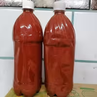 رب خانگی درجه 1