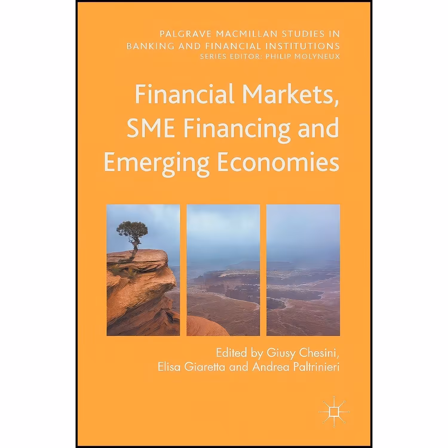 کتاب زبان اصلی Financial Markets SME Financing and Emerging Economies