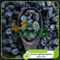 مویز بدون هسته 5ستاره فدک (250گرم)