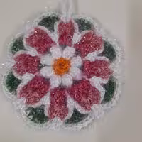 اسکاج عروس/گل زیبادولایه