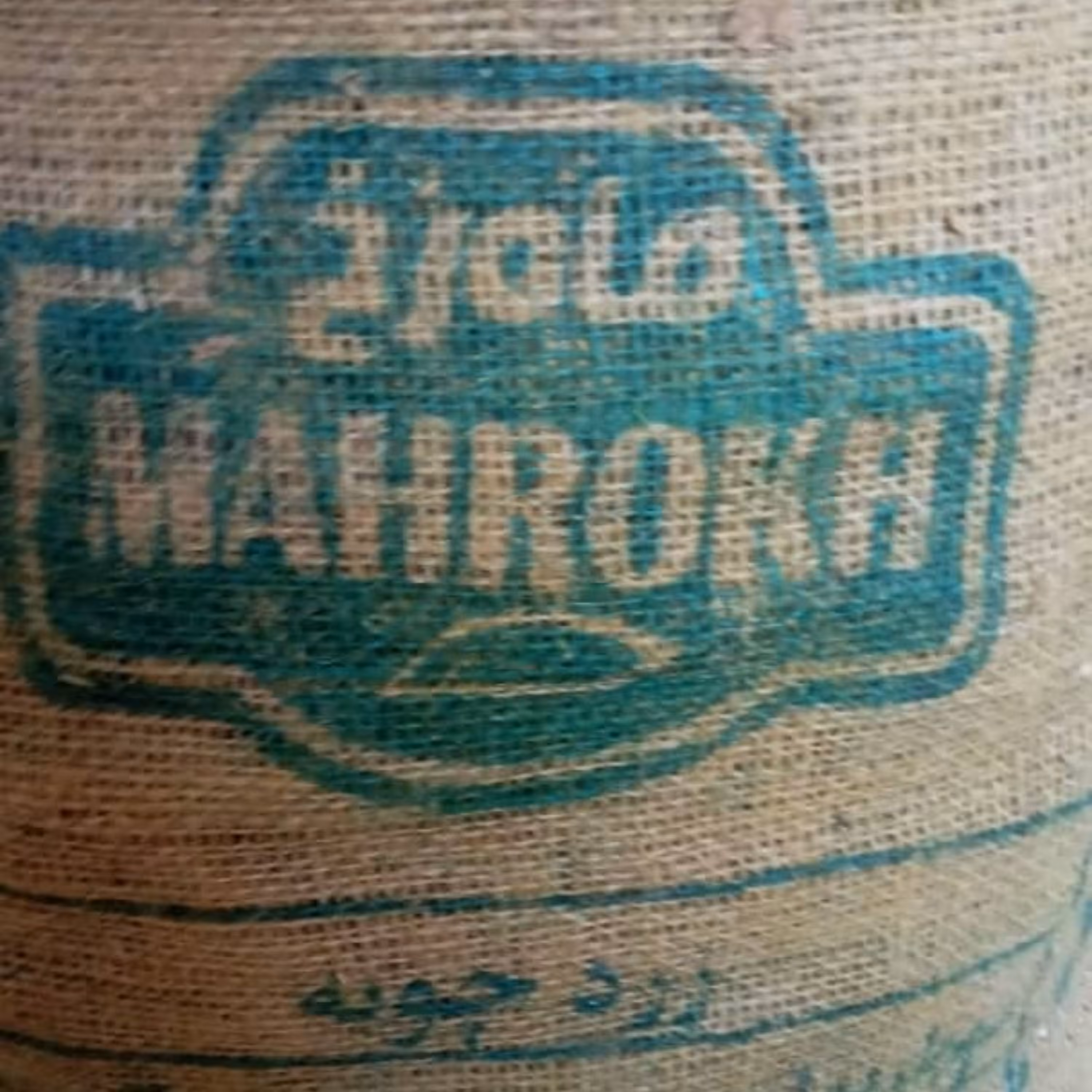 زرد چوبه قلم