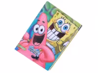 دفتر نقاشی سیمی 50 برگ با جلد فانتزی اکلیلی الوند