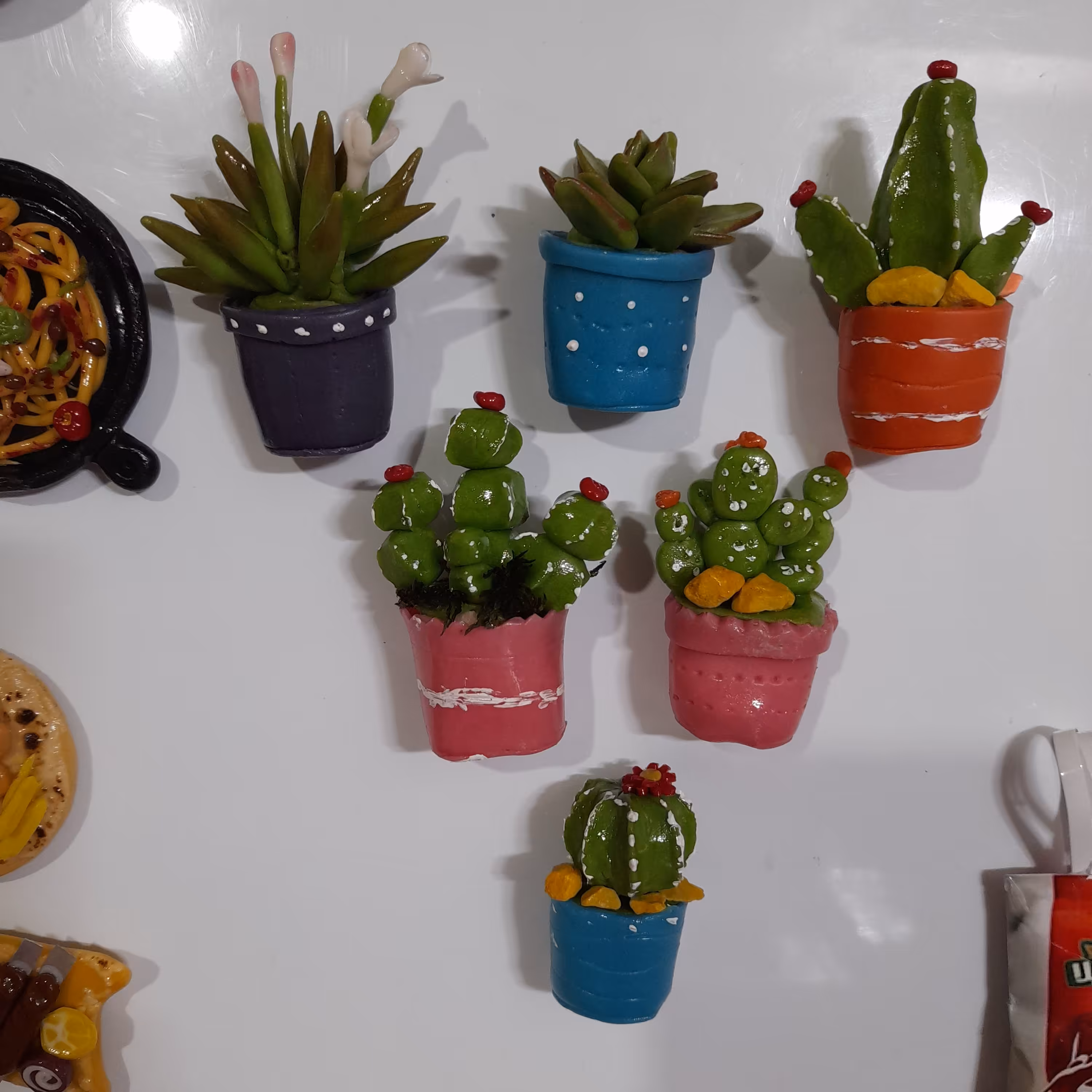 مگنت کاکتوس