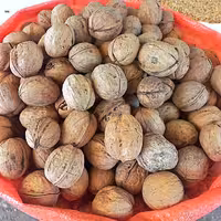 گردو ایرانی درجه 1 امساله خوش طعم و چرب