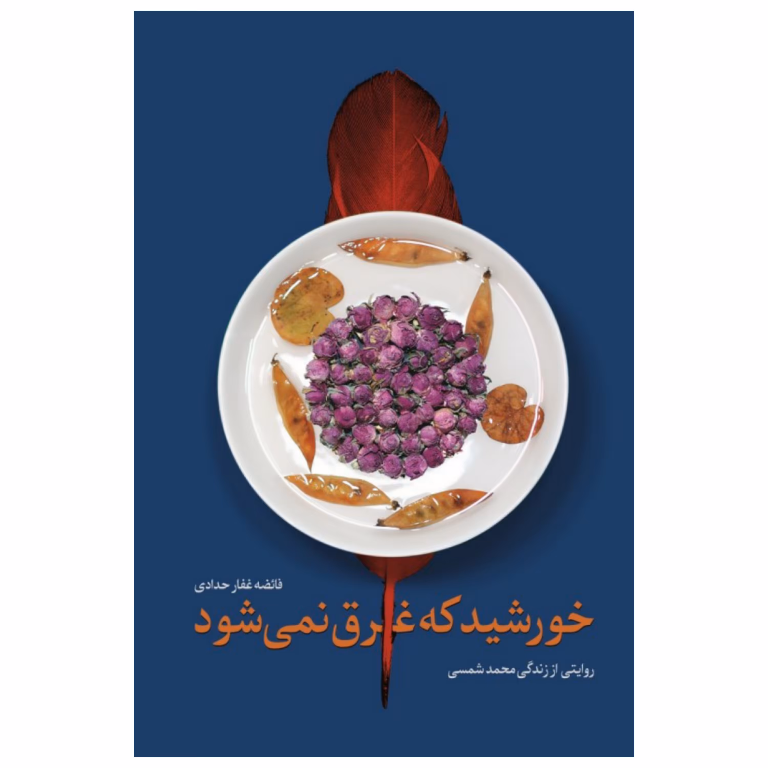 کتاب خورشید که غرق نمی شود (روایتی از زندگی محمد شمسی))