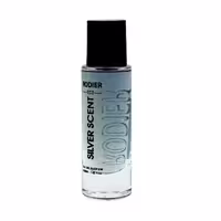عطر جیبی مردانه رودیر اکو مدل سیلور سنت Silver Sente حجم 30 میلی لیتر