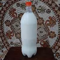 دوغ کفیر ارگانیک