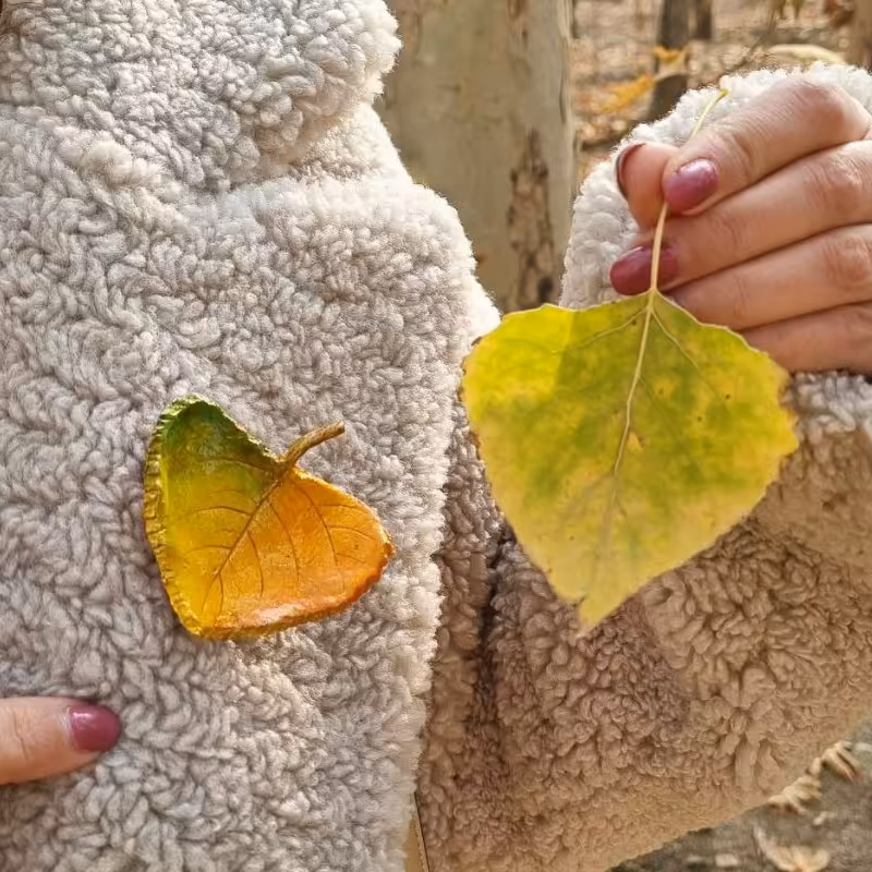 سنجاق سینه پاپیه ماشه 