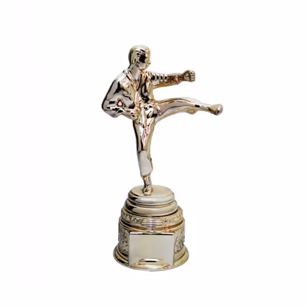 جام قهرمانی رزمی