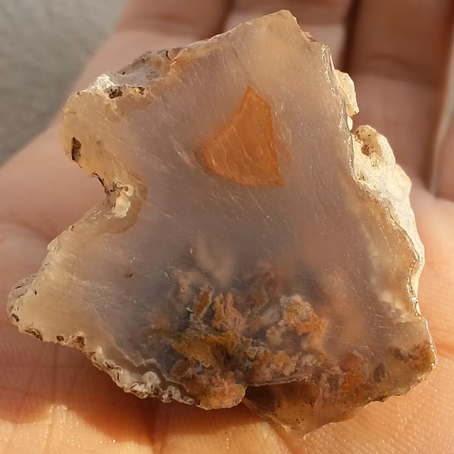 اسلایس سنگ راف عقیق شجر شکوفه 7رنگ به همراه سلیمانی 3بعدی رنگی محشر 100 در 100 طبیعی شاهکار خلقت