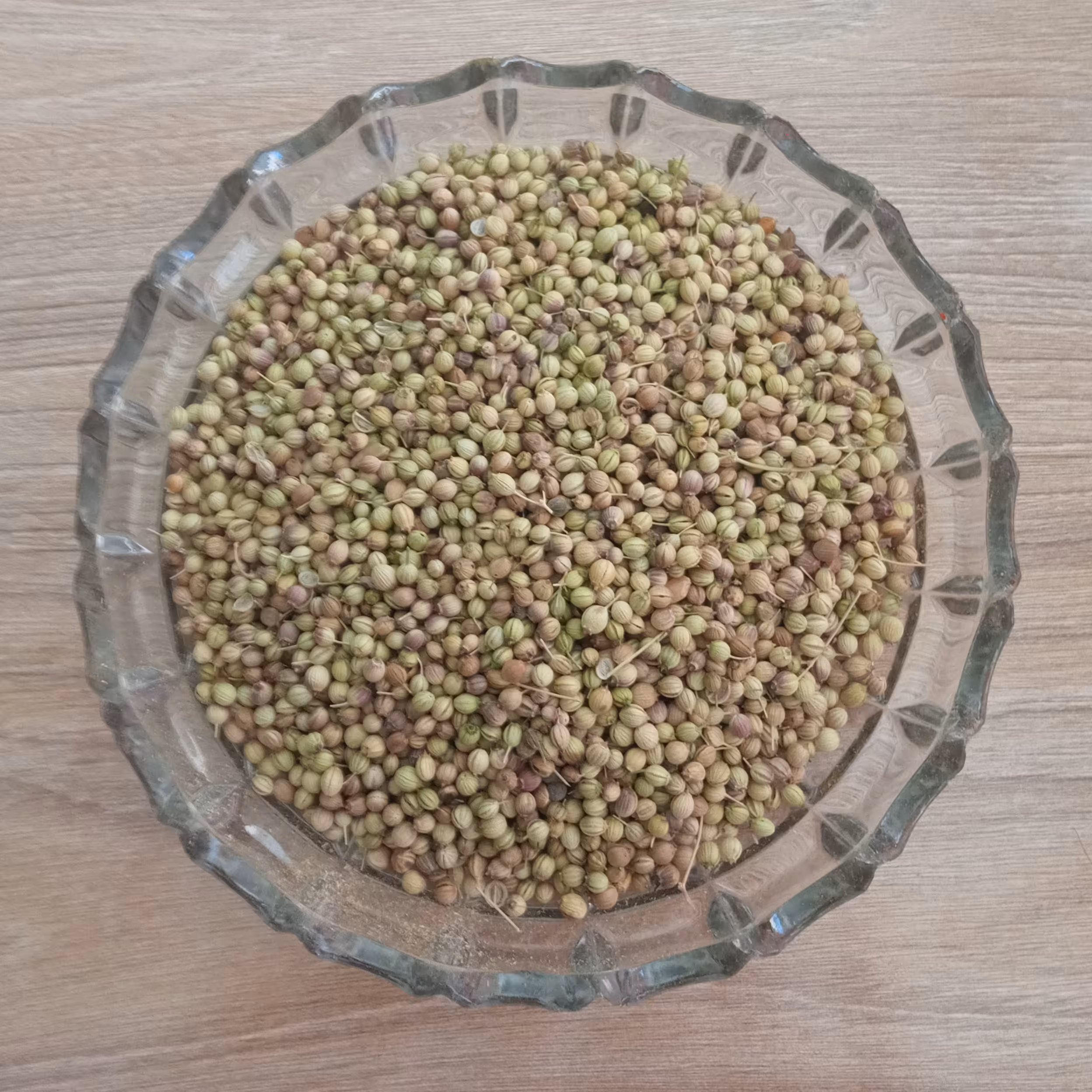 تخم گشنیز (40گرم)