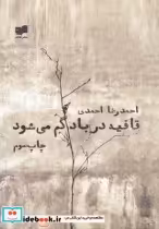 قیمت و خرید کتاب قافیه در باد گم می شود | ایده بوک