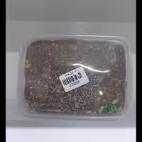 معجون ممتاز (صبحانه)