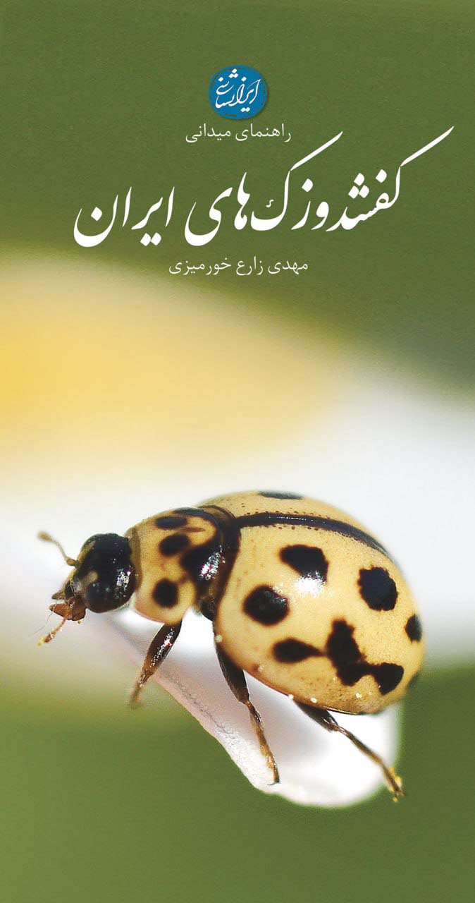 کتاب راهنمای میدانی کفشدوزک های ایران گلاسه