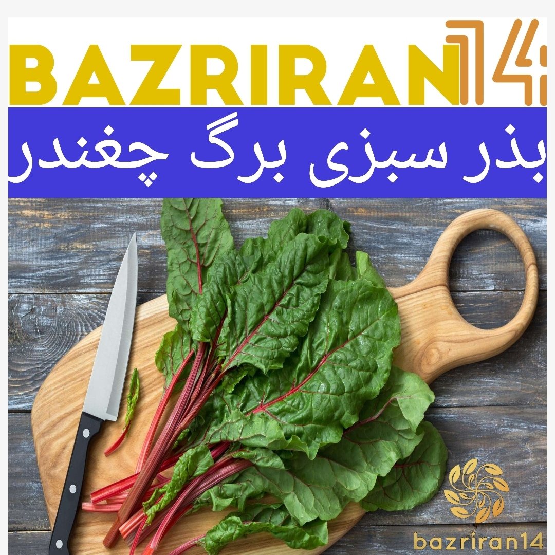 بذر سبزی برگ چغندر ( سلج ) باکیفیت بالا