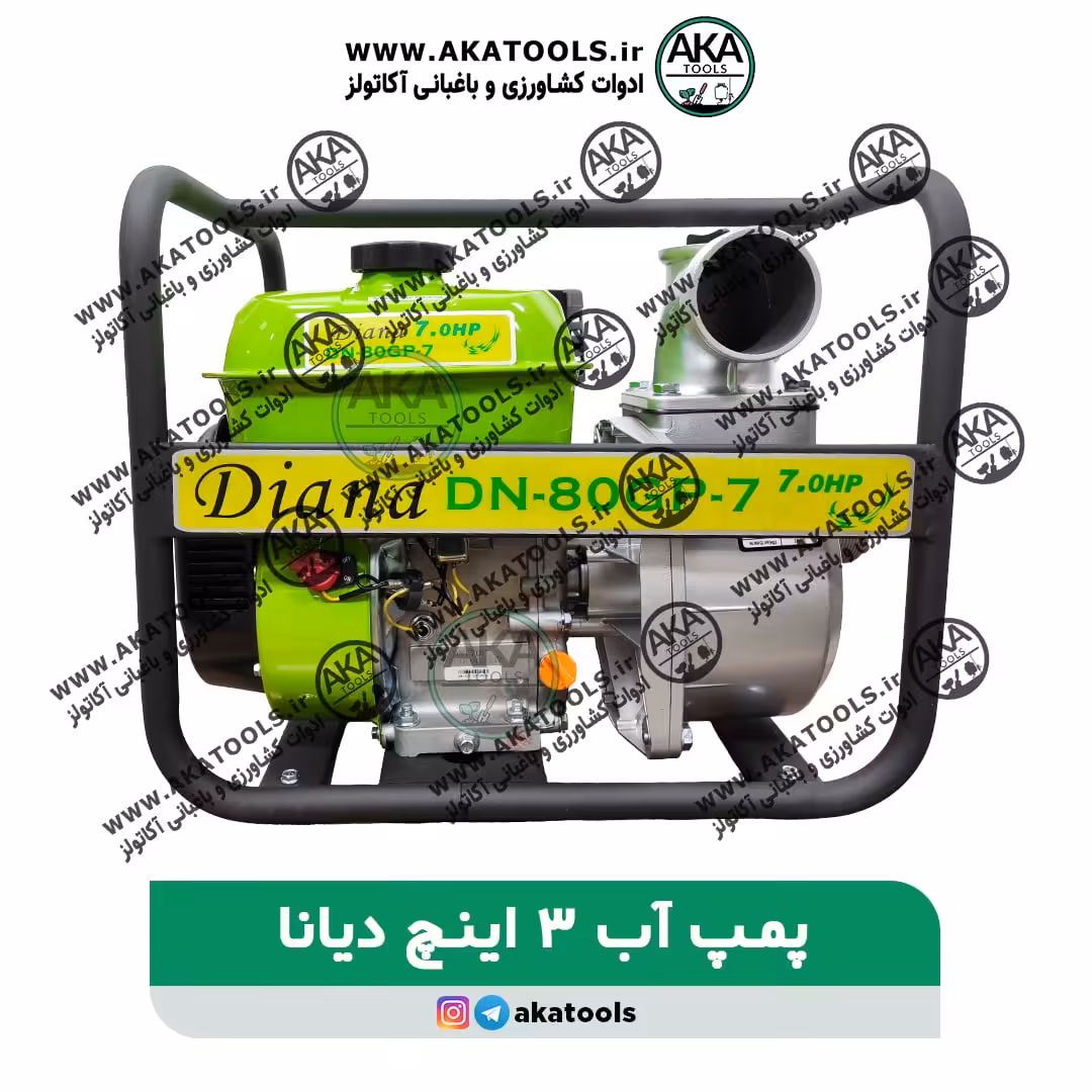 موتور پمپ آب 3 اینچ دیانا