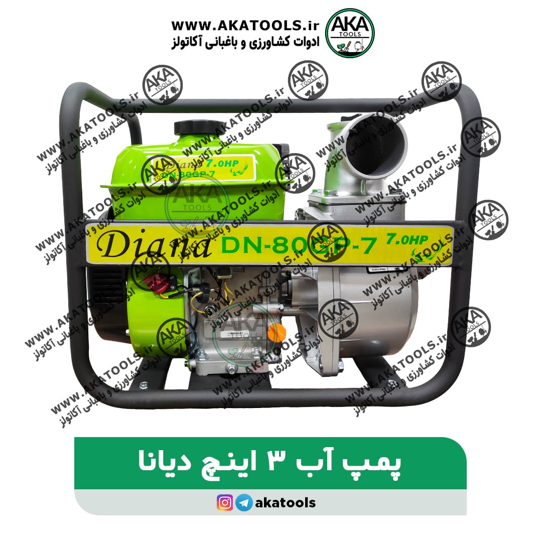 موتور پمپ آب 3 اینچ دیانا