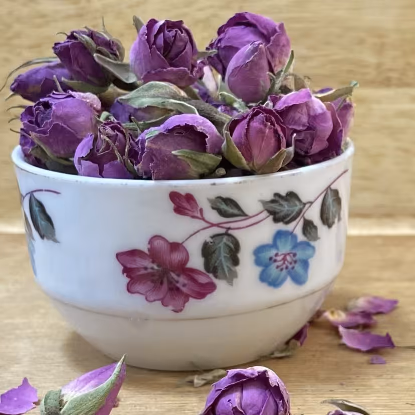 غنچه گل محمدی مناسب جهت استفاده در چای و دم نوش