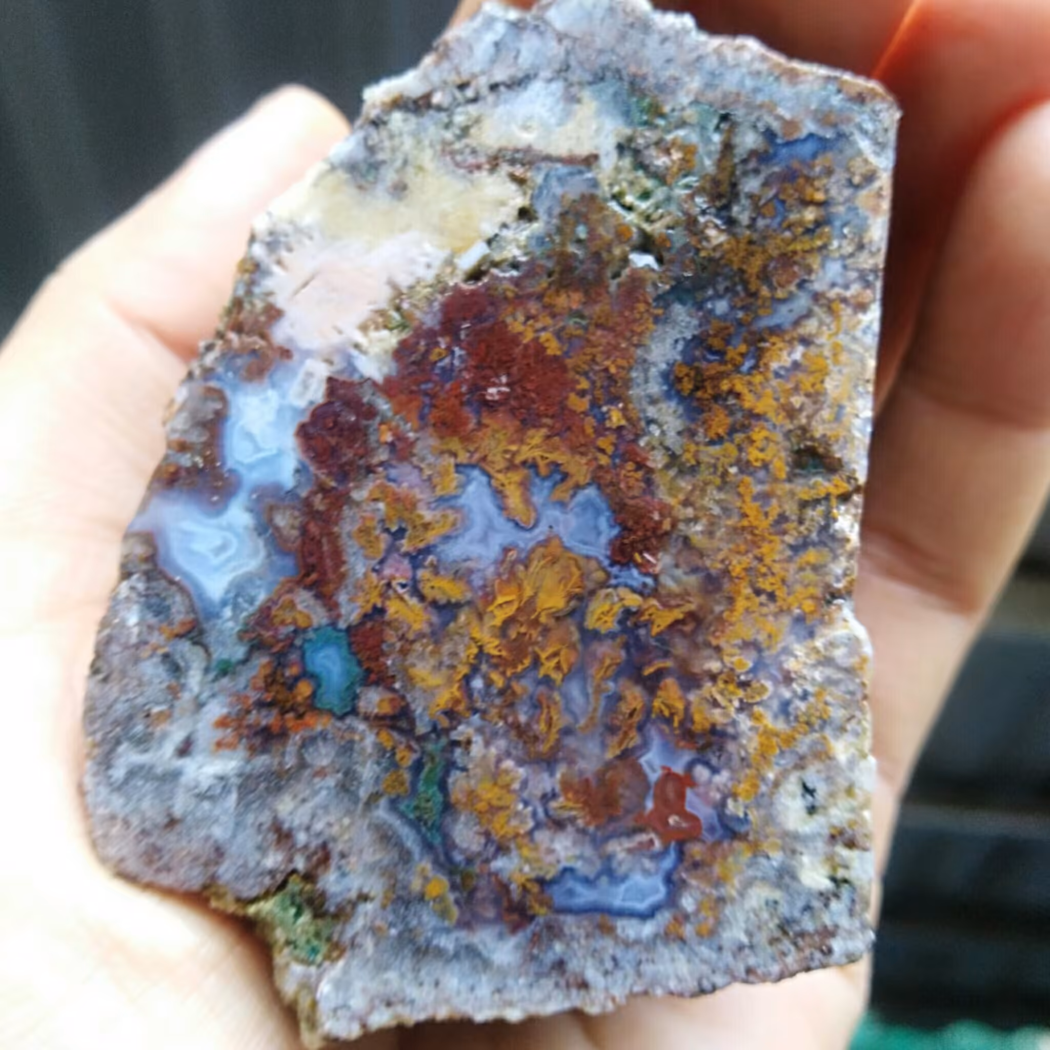 راف شجر 7رنگ محشر دیدنی کاملا طبیعی