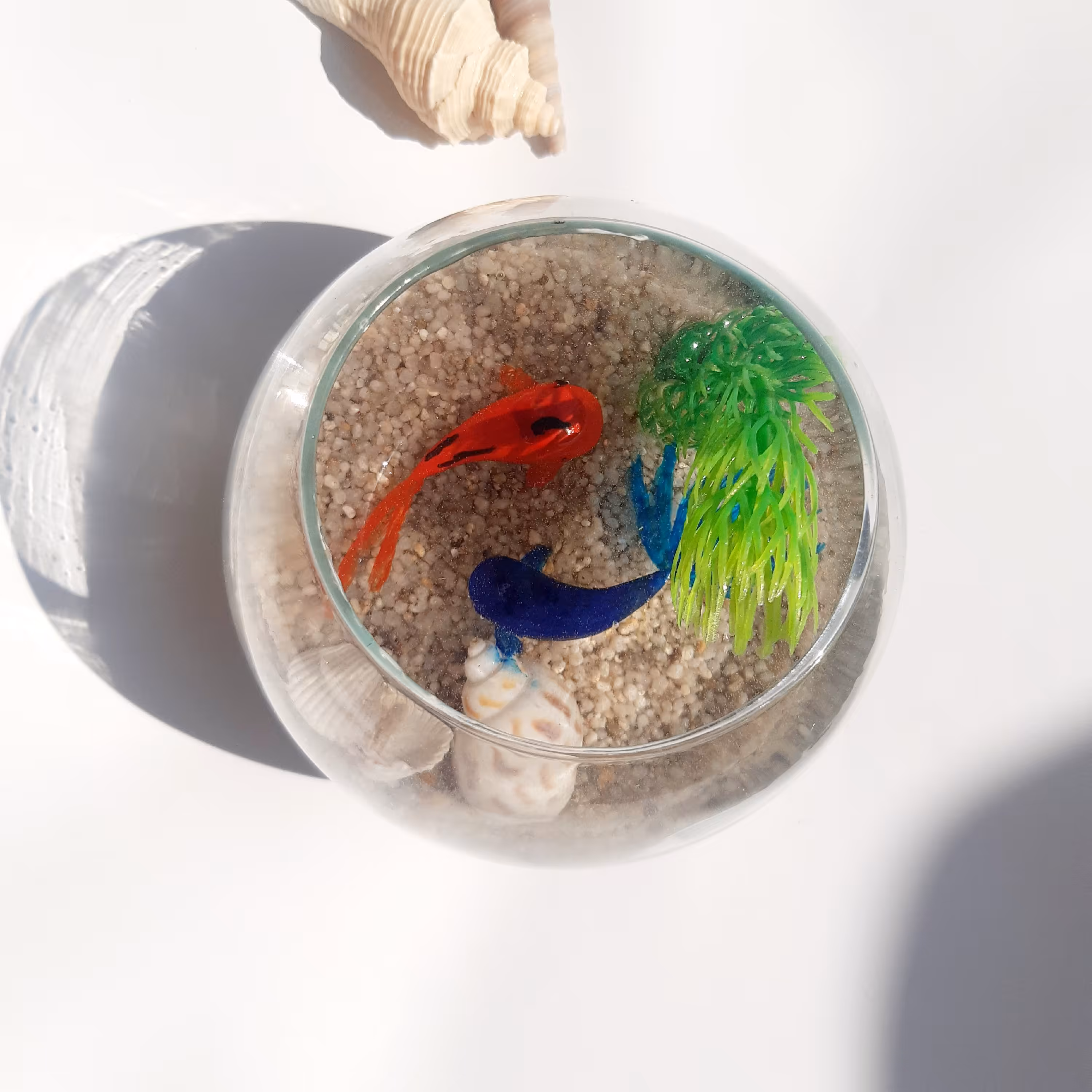 تنگ شیشه یی  سه بعدی رزینی ماهی ها دست ساز ونقاشی شده هستند