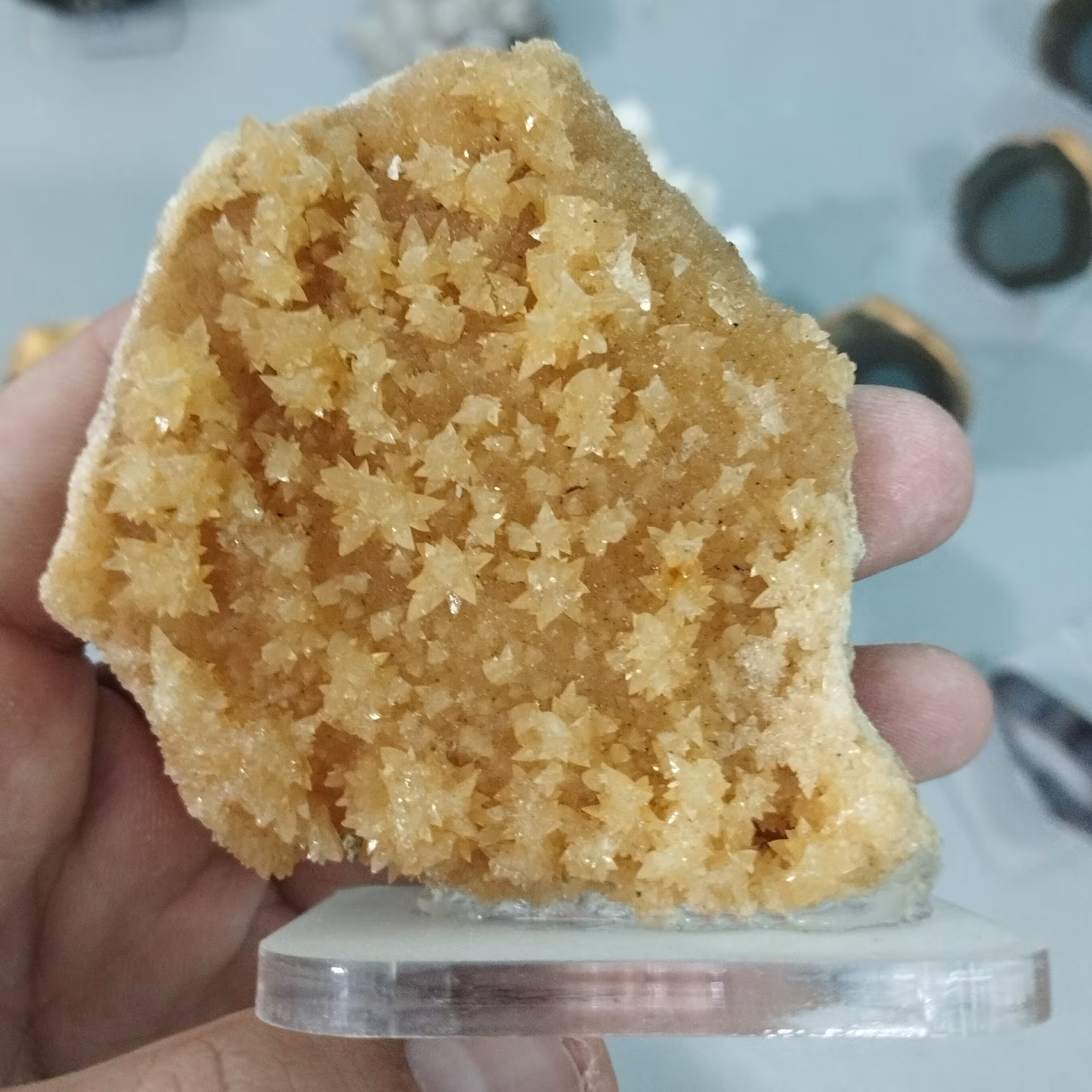 کلکسیونی کلسیت فلاور  قد 8سانتیمتر پهنا 8سانتیمتر  پایه دار 